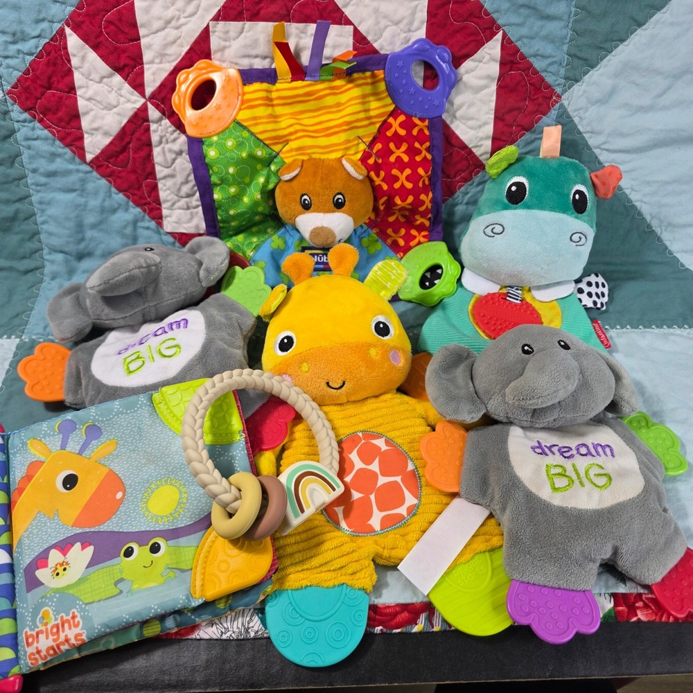 Bright Starts Nuby Infantino Baby Sensory Toy Lot Multi Teething Crinkle Plush